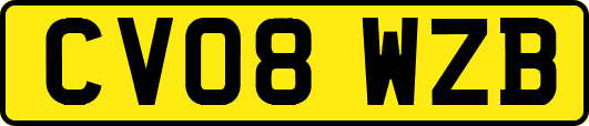 CV08WZB