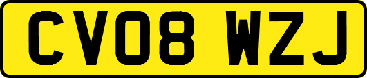 CV08WZJ