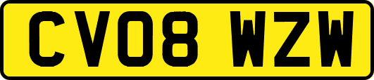 CV08WZW