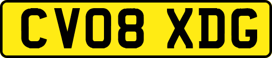 CV08XDG