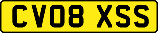 CV08XSS