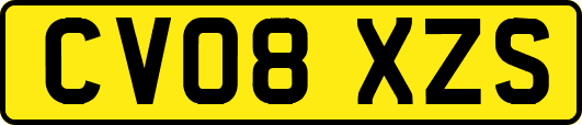 CV08XZS