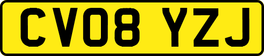 CV08YZJ