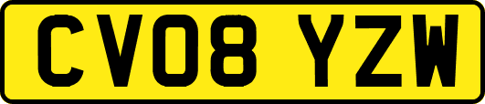 CV08YZW