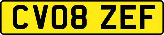 CV08ZEF
