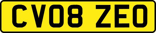 CV08ZEO
