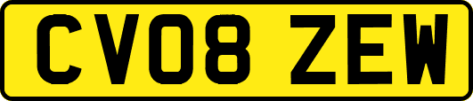 CV08ZEW