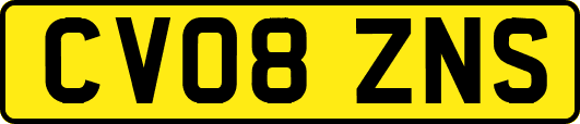 CV08ZNS