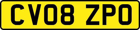 CV08ZPO