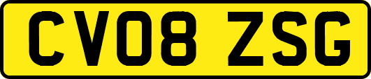 CV08ZSG