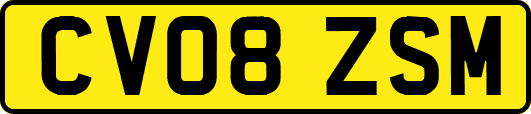CV08ZSM