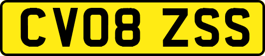 CV08ZSS