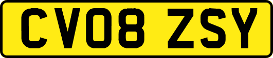CV08ZSY