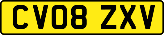 CV08ZXV