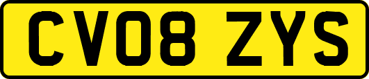 CV08ZYS