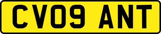 CV09ANT