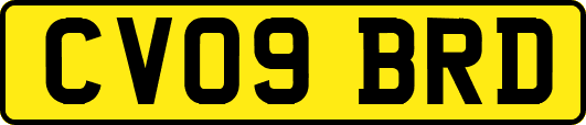 CV09BRD