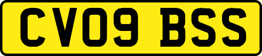 CV09BSS