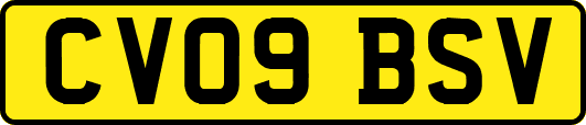 CV09BSV