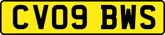 CV09BWS