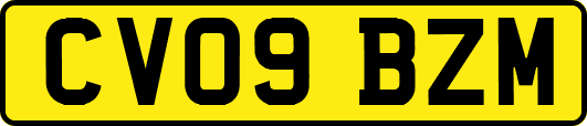 CV09BZM