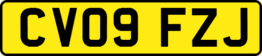 CV09FZJ