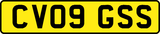 CV09GSS