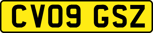 CV09GSZ