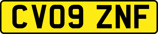 CV09ZNF