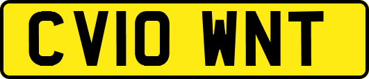 CV10WNT