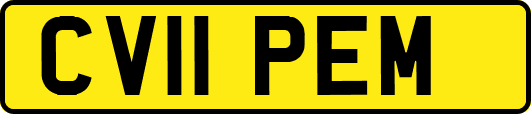 CV11PEM