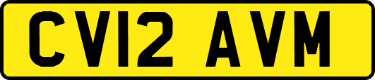 CV12AVM