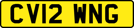 CV12WNG