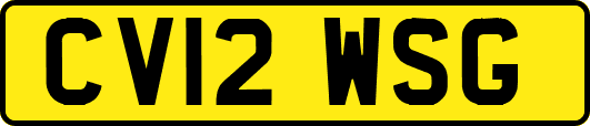 CV12WSG