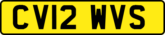 CV12WVS