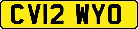 CV12WYO