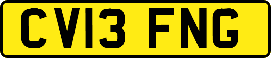 CV13FNG