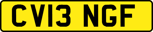 CV13NGF