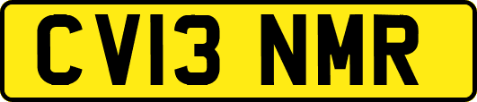 CV13NMR