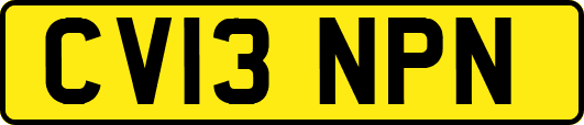 CV13NPN