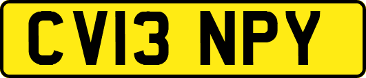 CV13NPY