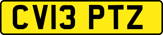 CV13PTZ