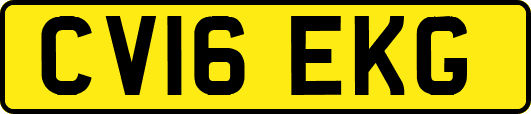 CV16EKG