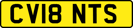 CV18NTS