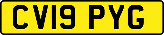 CV19PYG