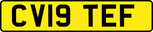 CV19TEF