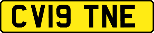 CV19TNE