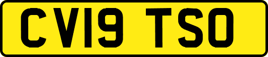 CV19TSO