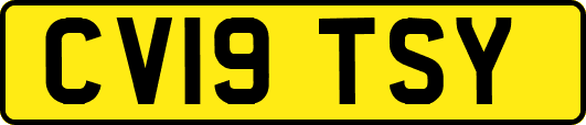 CV19TSY