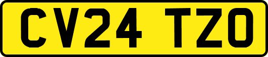 CV24TZO